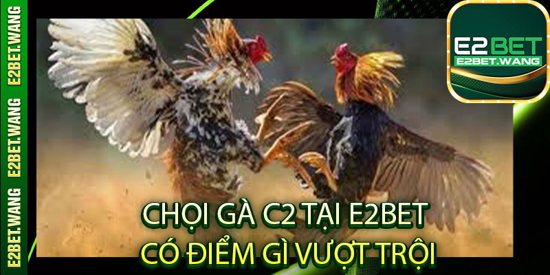 Chọi gà C2 tại E2bet có điểm gì vượt trội