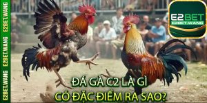 Đá gà C2 là gì và có đặc điểm ra sao?