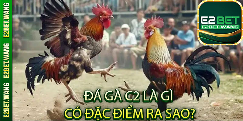 Đá gà C2 là gì và có đặc điểm ra sao?
