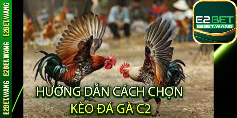 Hướng dẫn cách chọn kèo đá gà C2