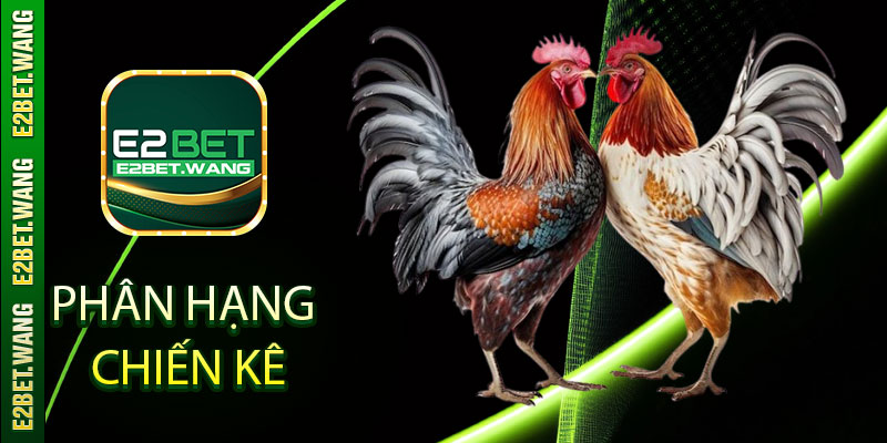 Luật lệ mà cần tuân thủ trong Đá gà cựa tròn tại E2BET