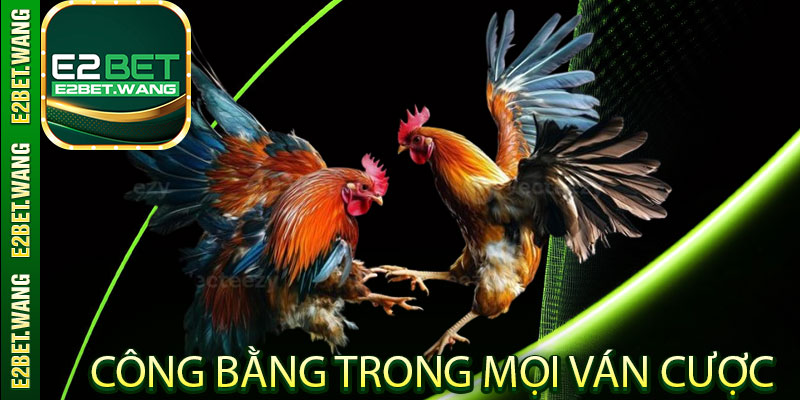 Những Lý Do Khiến Nhiều Bet Thủ Thích Chọi Gà E2bet