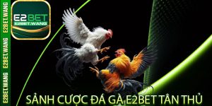 Sảnh Cược Đá Gà E2bet Tân Thủ