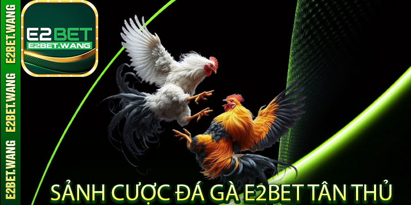Sảnh Cược Đá Gà E2bet Tân Thủ